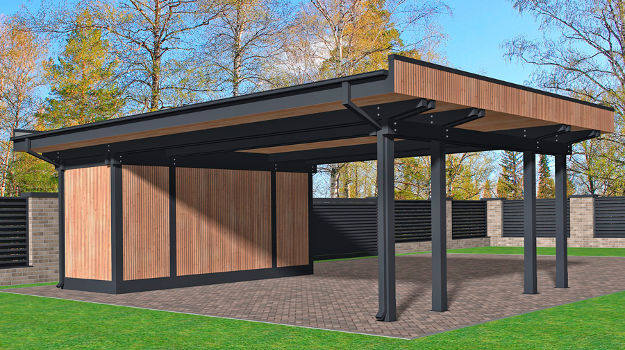 ����� ���� � ���������